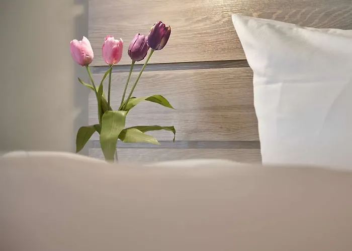 柏林米特钟楼酒店 3*